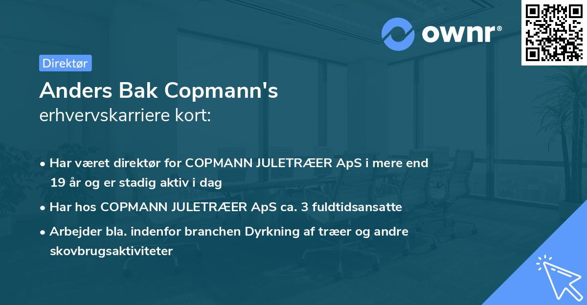Anders Bak Copmann's erhvervskarriere kort