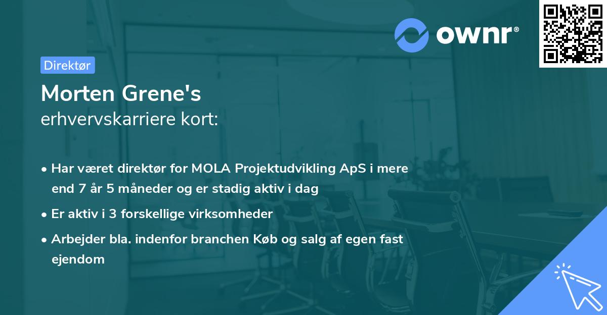 Morten Grene's erhvervskarriere kort