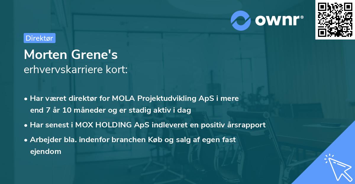 Morten Grene's erhvervskarriere kort