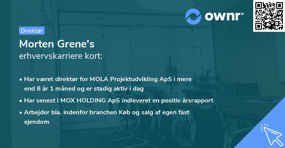 Morten Grene's erhvervskarriere kort