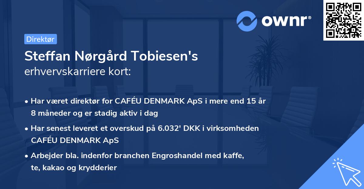 Steffan Nørgård Tobiesen's erhvervskarriere kort