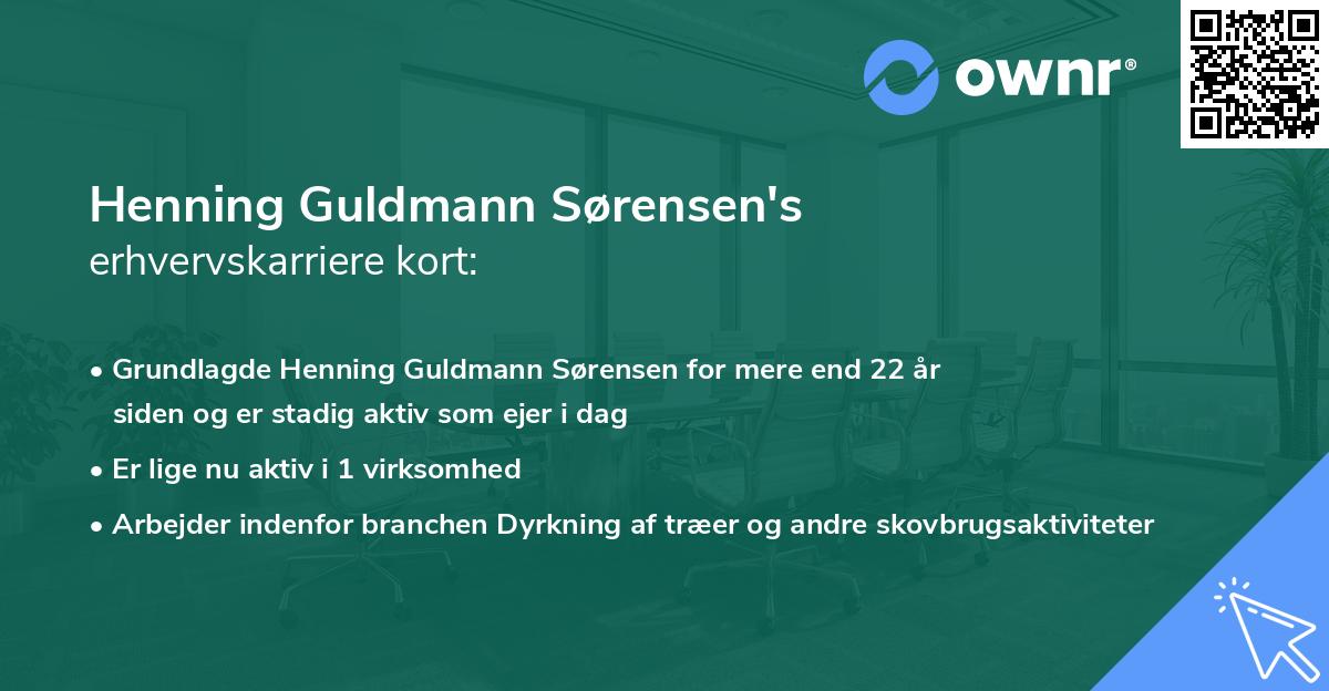 Henning Guldmann Sørensen's erhvervskarriere kort