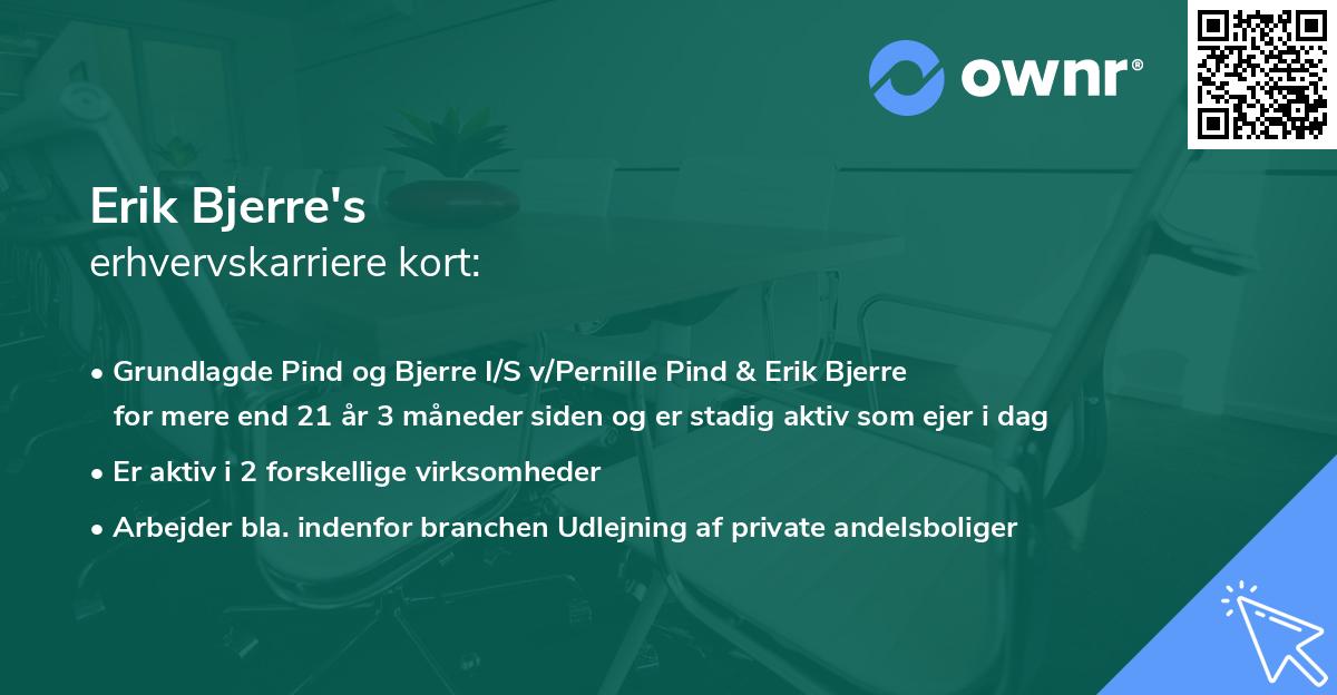 Erik Bjerre's erhvervskarriere kort
