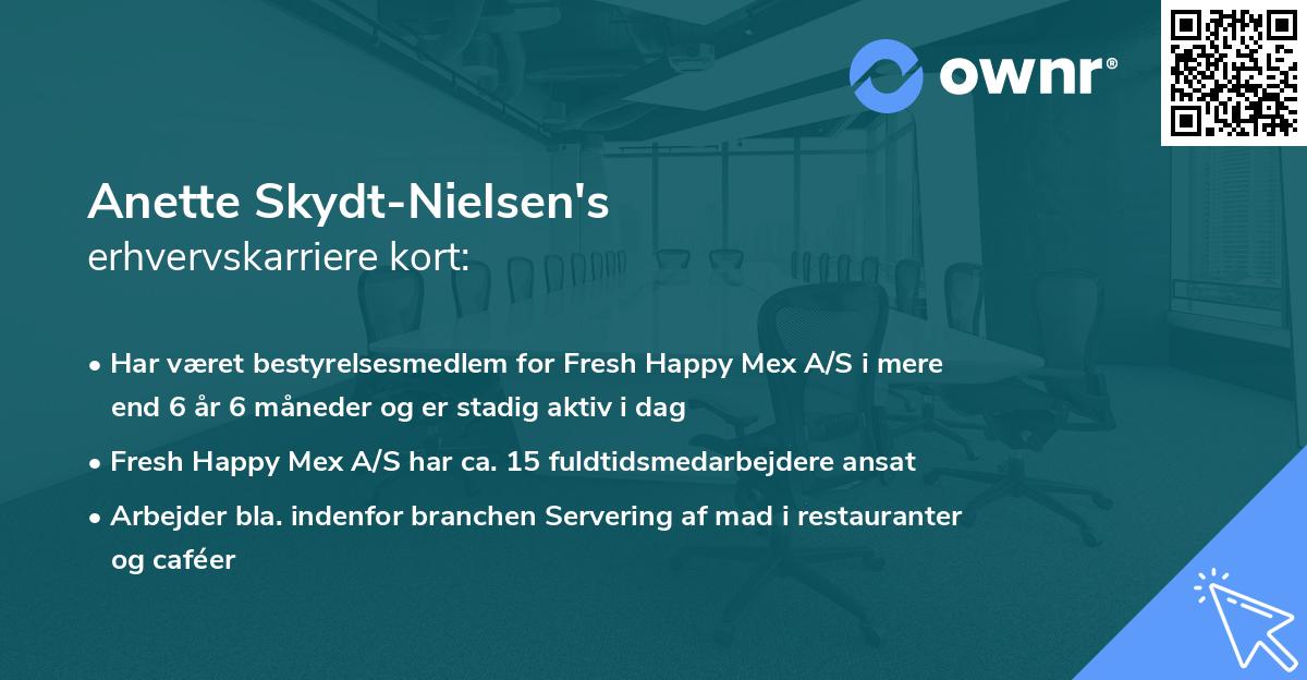 Anette Skydt-Nielsen's erhvervskarriere kort