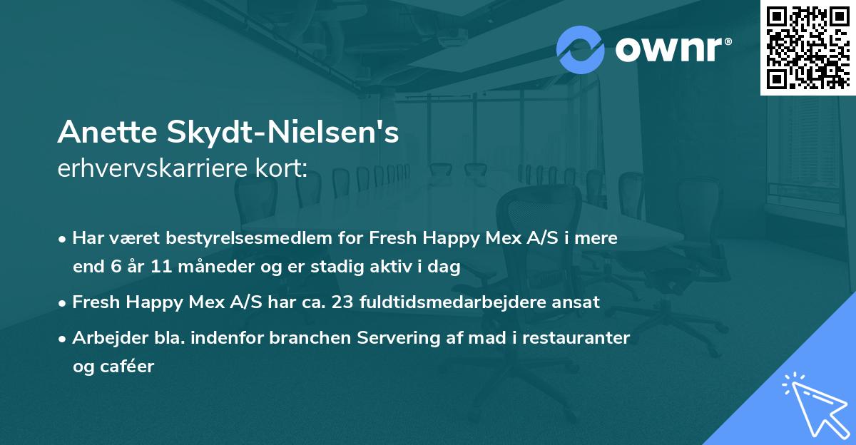 Anette Skydt-Nielsen's erhvervskarriere kort