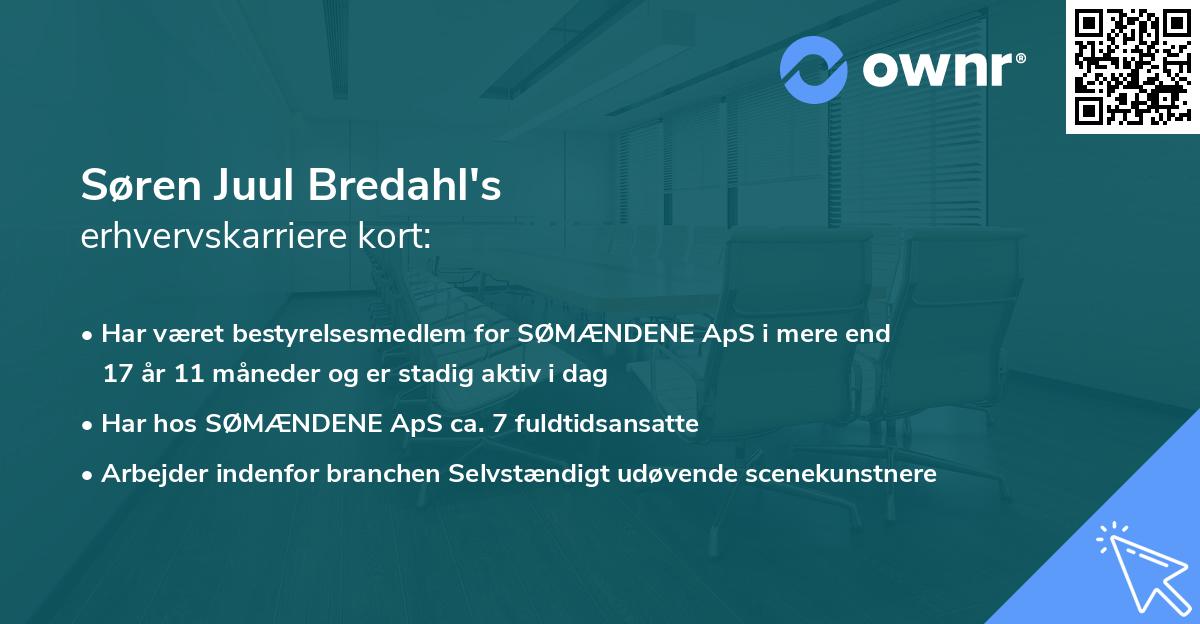 Søren Juul Bredahl's erhvervskarriere kort