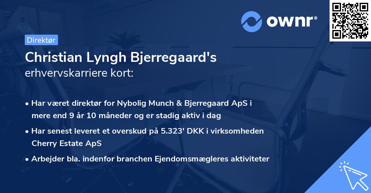 Christian Lyngh Bjerregaard's erhvervskarriere kort