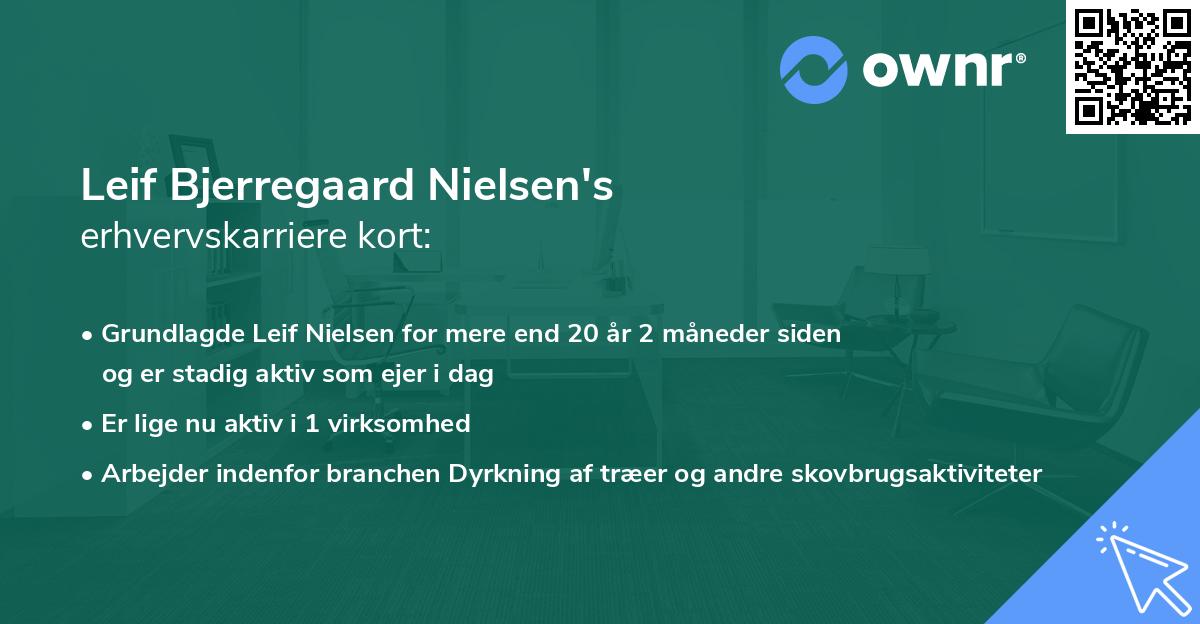 Leif Bjerregaard Nielsen's erhvervskarriere kort