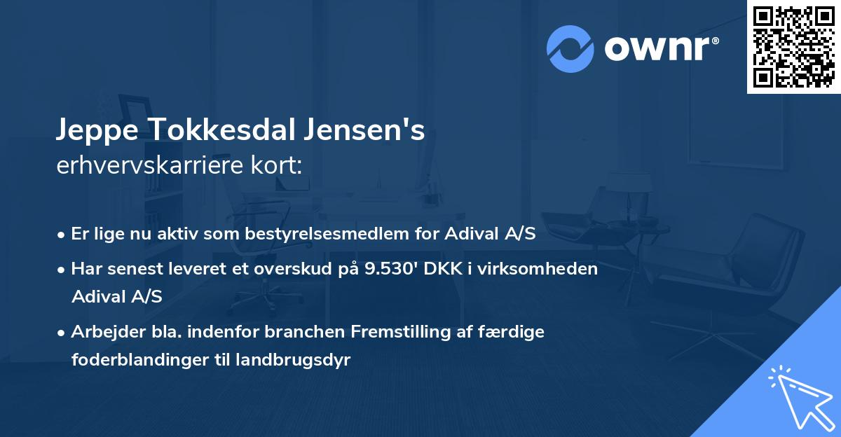 Jeppe Tokkesdal Jensen's erhvervskarriere kort