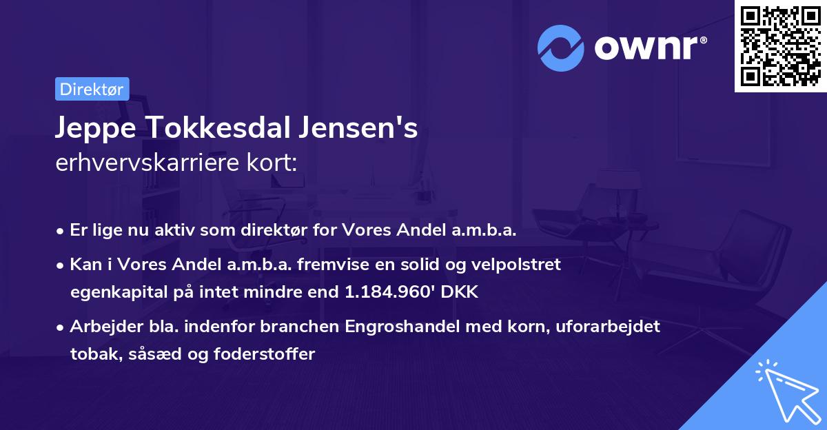 Jeppe Tokkesdal Jensen's erhvervskarriere kort
