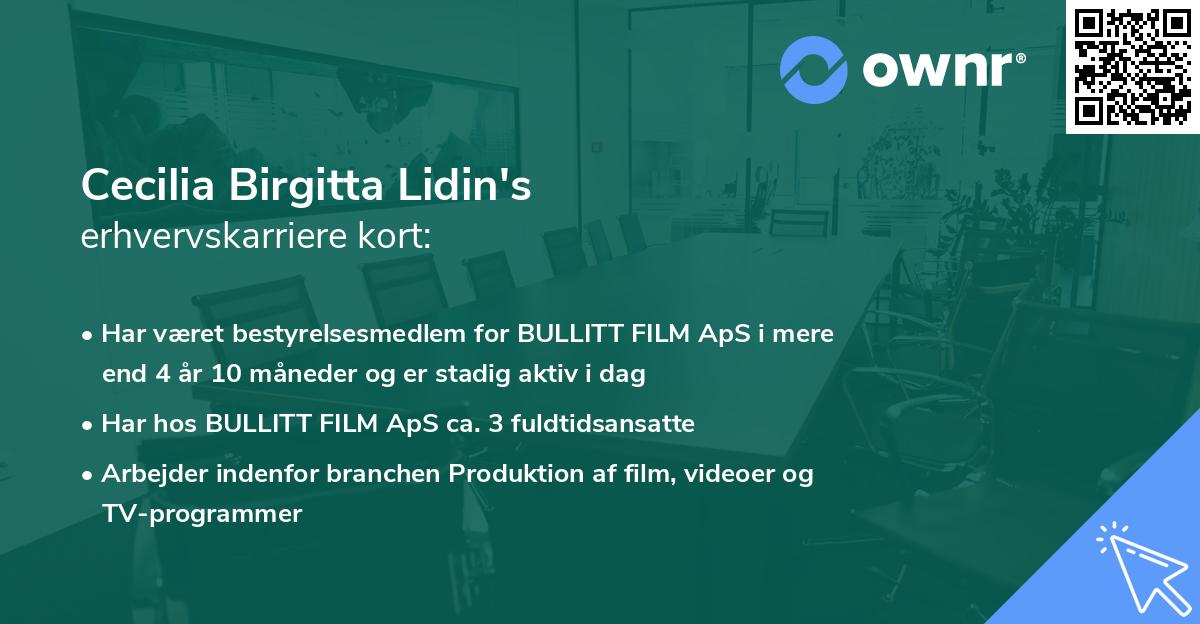 Cecilia Birgitta Lidin's erhvervskarriere kort