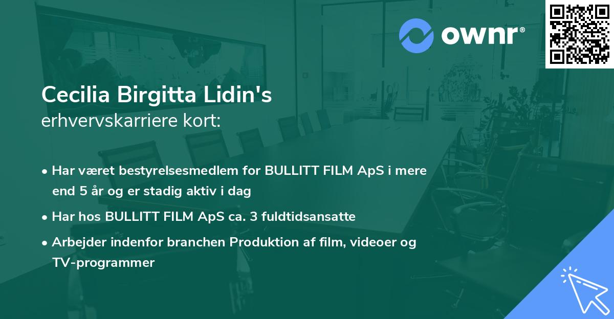 Cecilia Birgitta Lidin's erhvervskarriere kort
