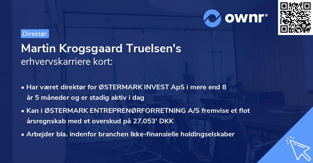 Martin Krogsgaard Truelsen's erhvervskarriere kort