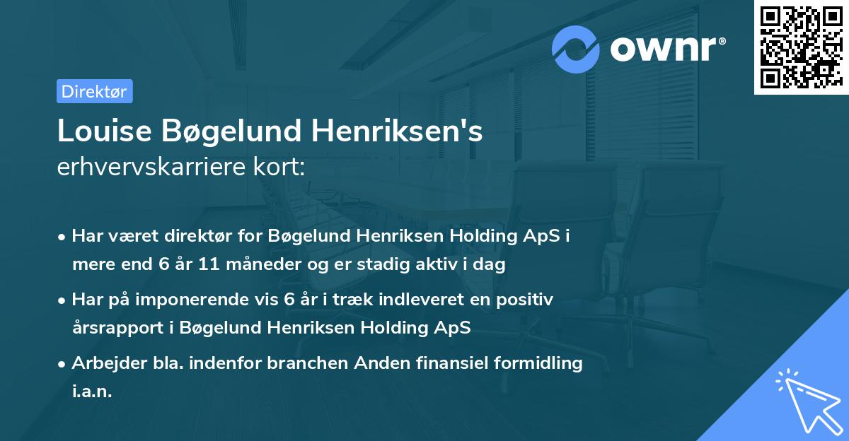 Louise Bøgelund Henriksen's erhvervskarriere kort
