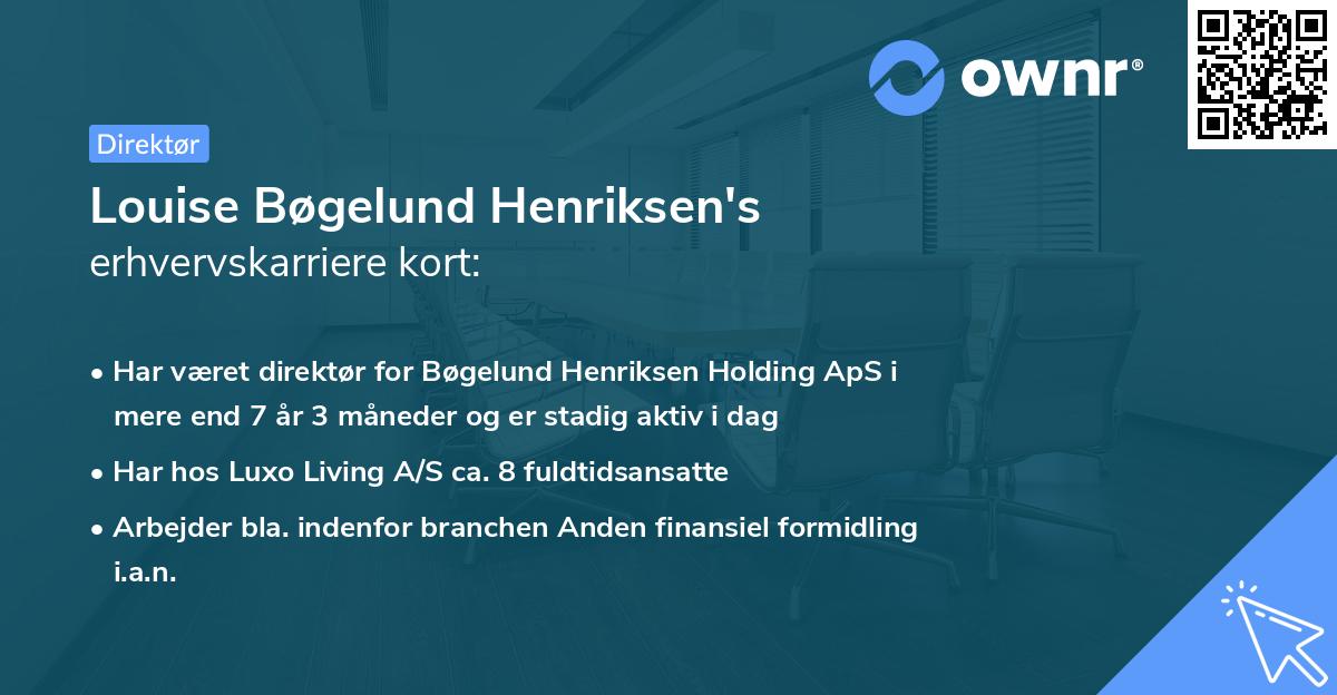 Louise Bøgelund Henriksen's erhvervskarriere kort