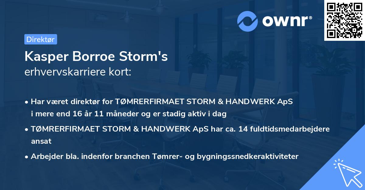 Kasper Borroe Storm's erhvervskarriere kort
