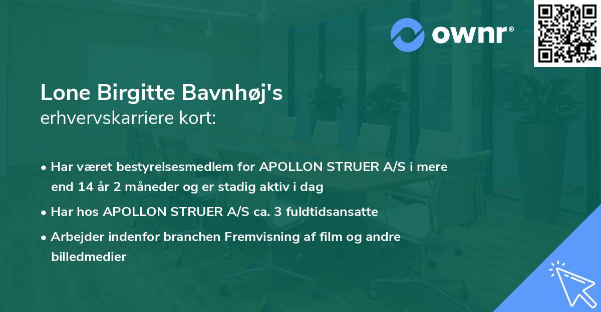 Lone Birgitte Bavnhøj's erhvervskarriere kort