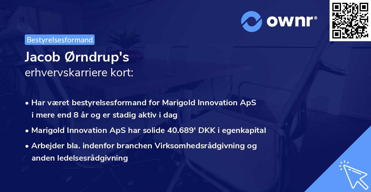 Jacob Ørndrup's erhvervskarriere kort