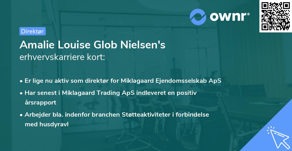 Amalie Louise Glob Nielsen's erhvervskarriere kort