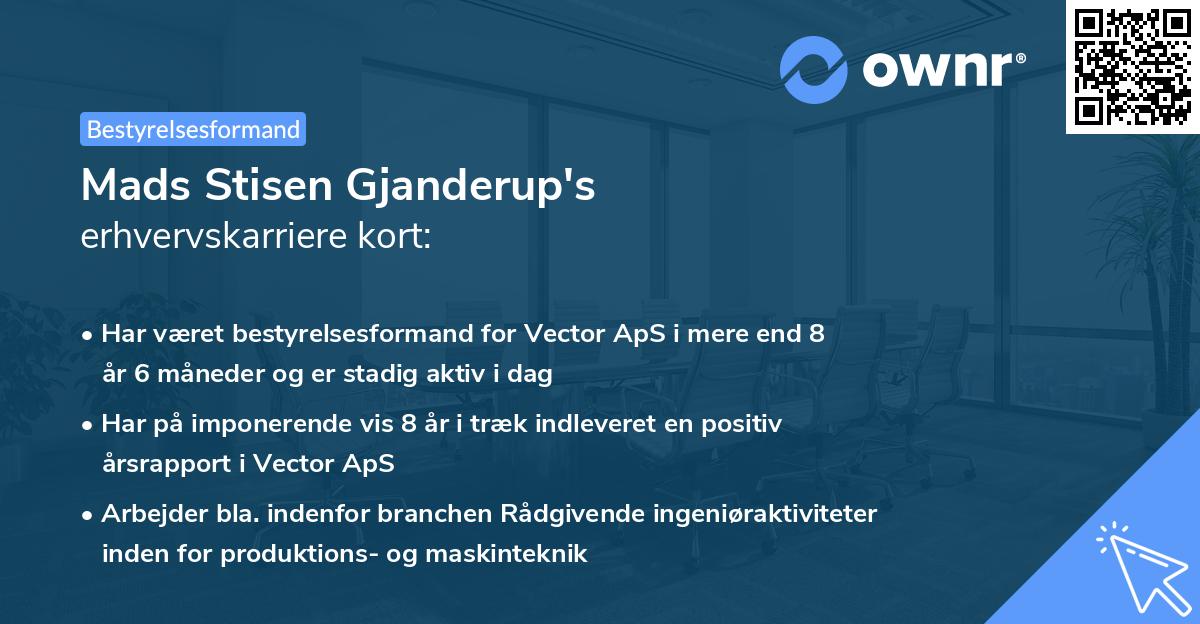 Mads Stisen Gjanderup's erhvervskarriere kort