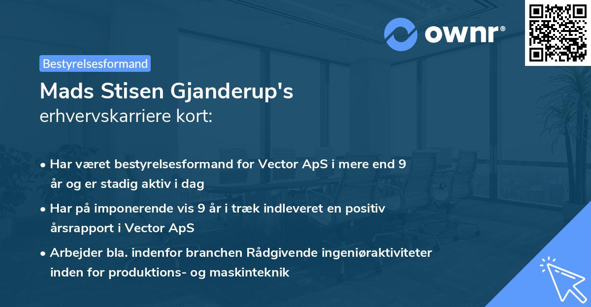 Mads Stisen Gjanderup's erhvervskarriere kort