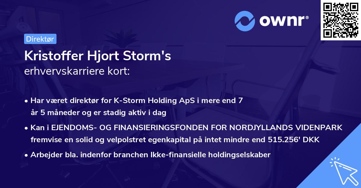 Kristoffer Hjort Storm's erhvervskarriere kort