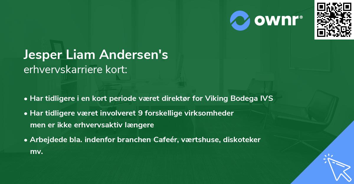 Jesper Liam Andersen's erhvervskarriere kort