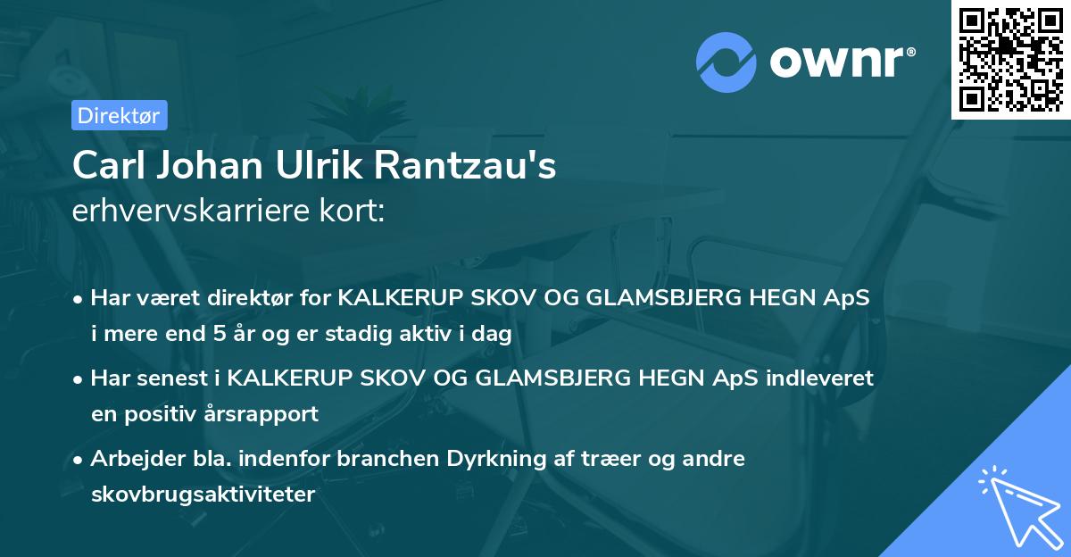 Carl Johan Ulrik Rantzau's erhvervskarriere kort