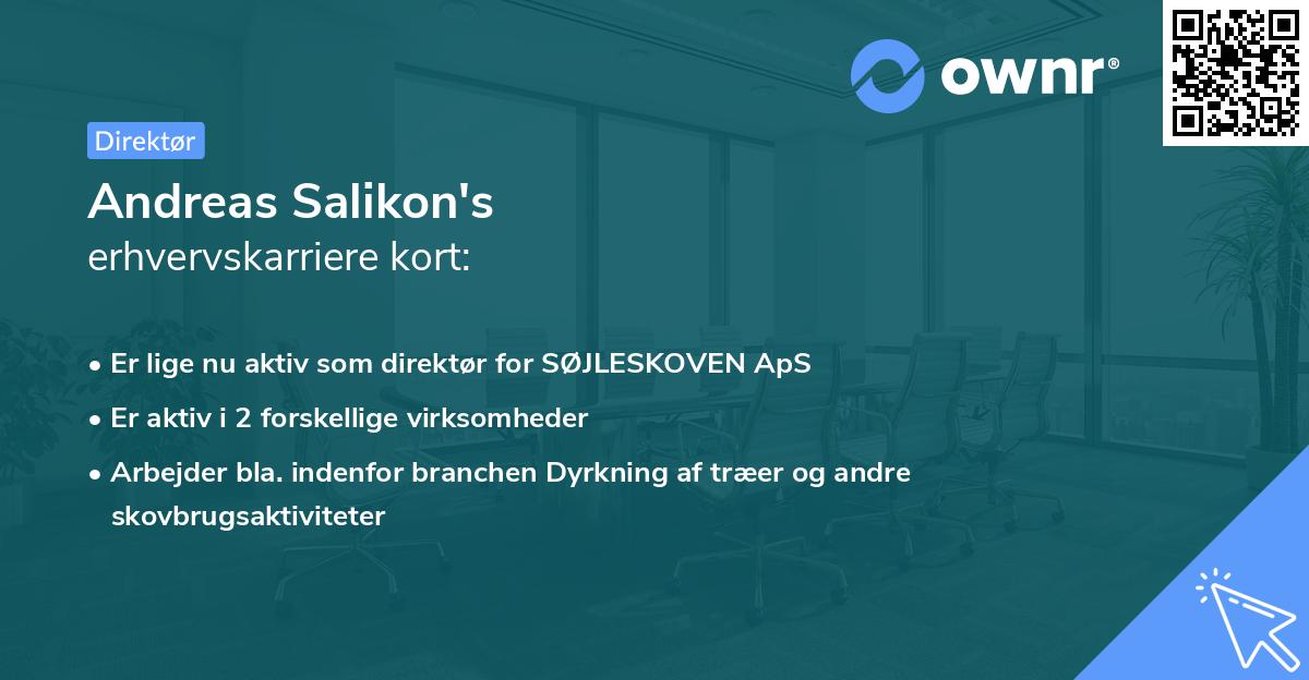 Andreas Salikon's erhvervskarriere kort