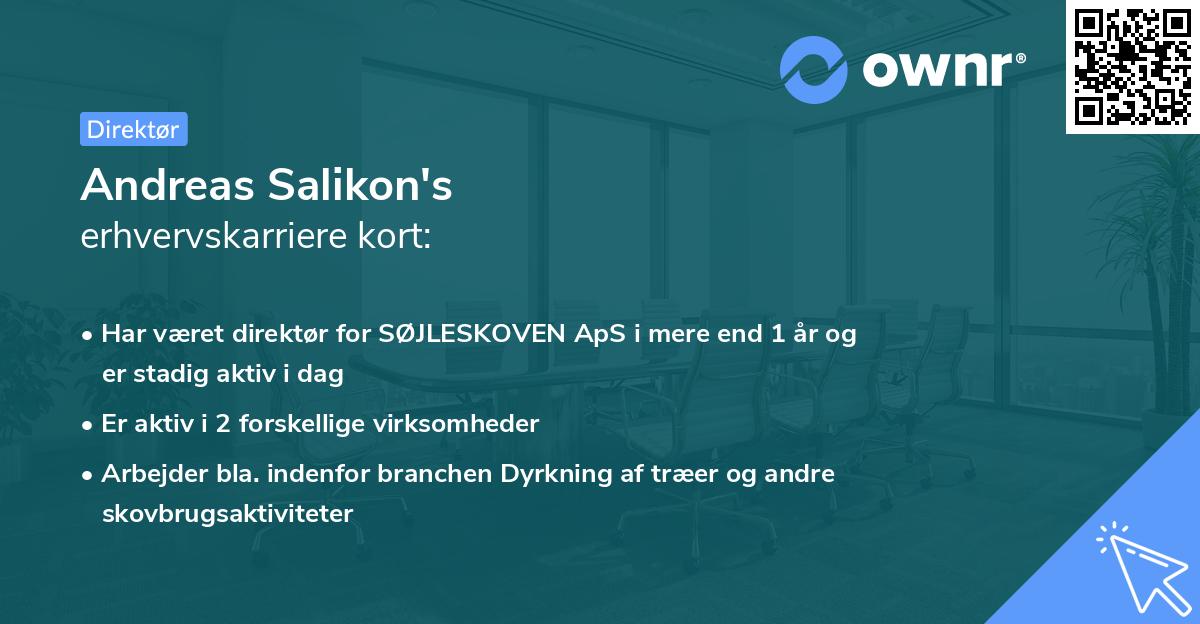 Andreas Salikon's erhvervskarriere kort