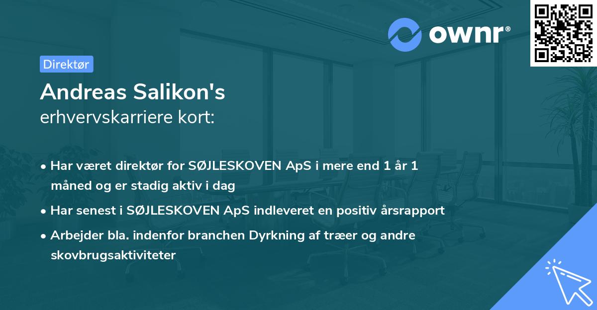 Andreas Salikon's erhvervskarriere kort