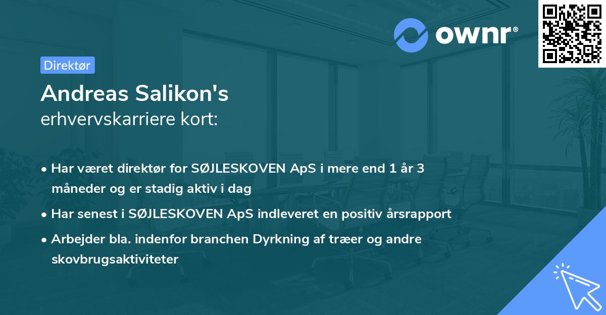 Andreas Salikon's erhvervskarriere kort