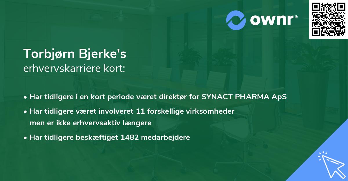 Torbjørn Bjerke's erhvervskarriere kort