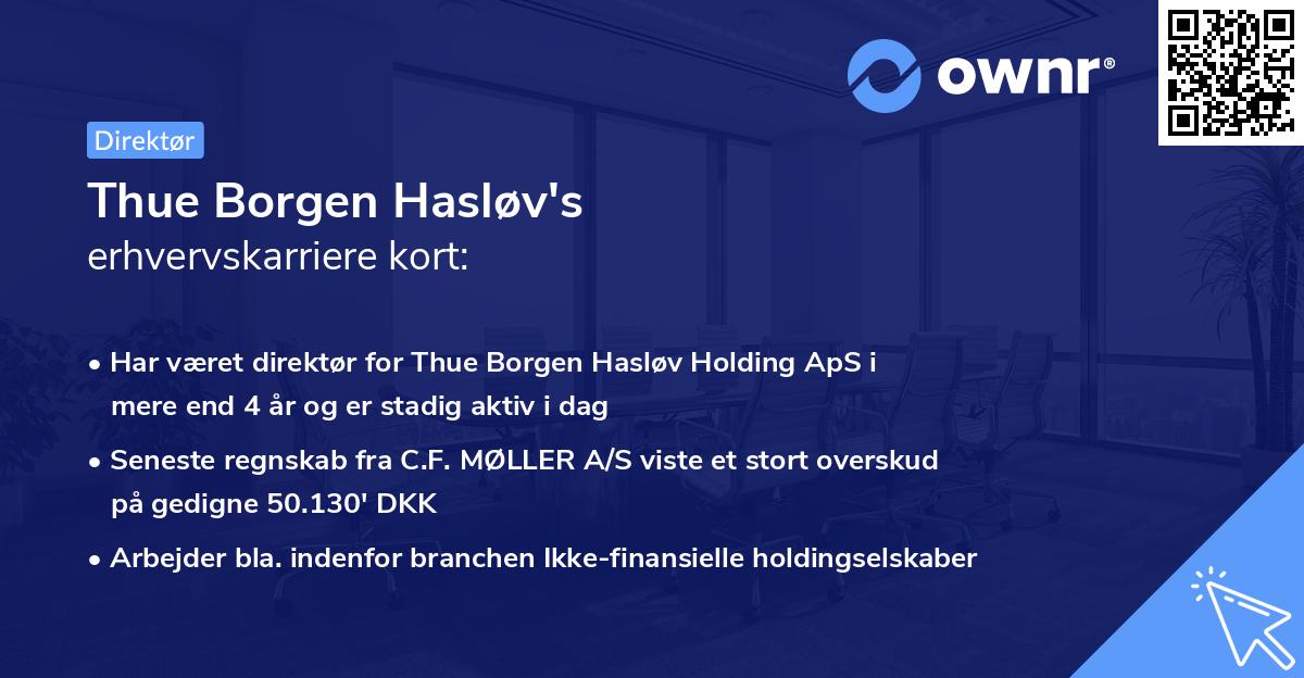 Thue Borgen Hasløv's erhvervskarriere kort
