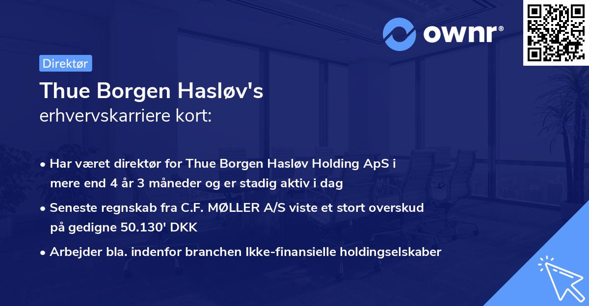Thue Borgen Hasløv's erhvervskarriere kort