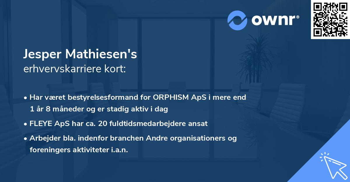 Jesper Mathiesen's erhvervskarriere kort