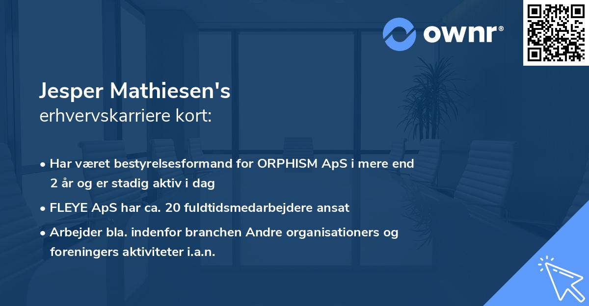 Jesper Mathiesen's erhvervskarriere kort