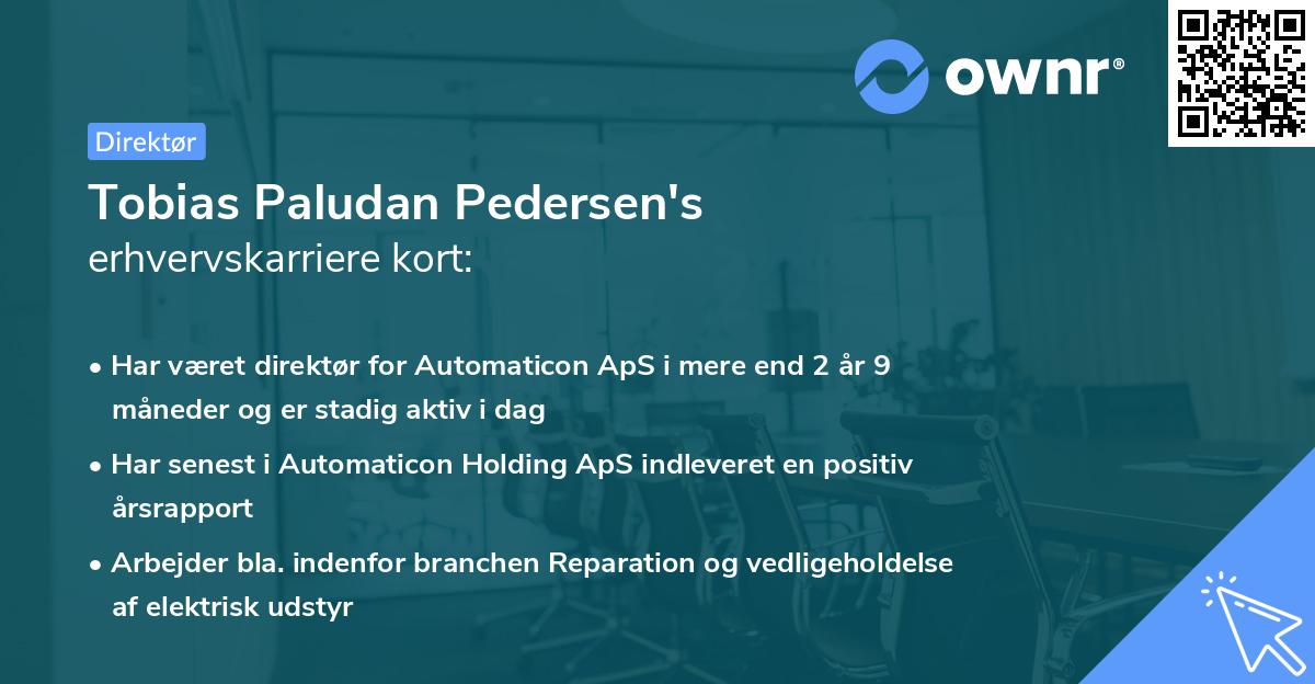 Tobias Paludan Pedersen's erhvervskarriere kort
