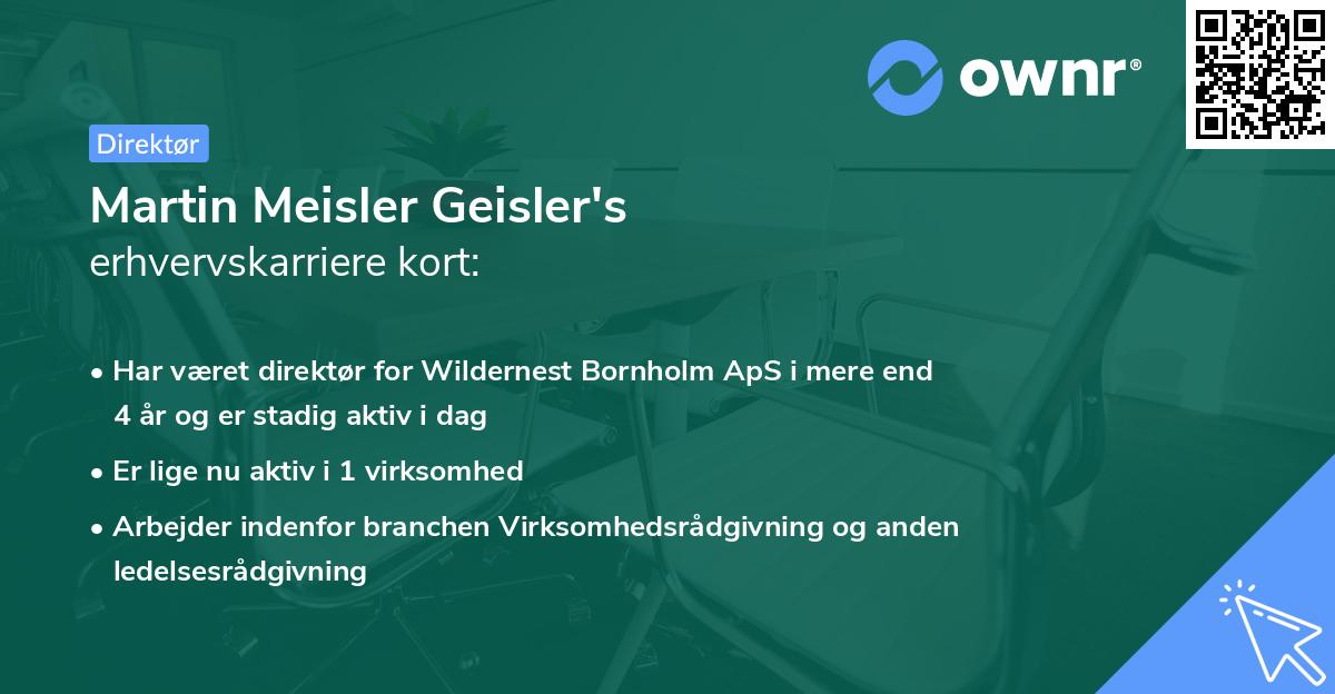 Martin Meisler Geisler's erhvervskarriere kort