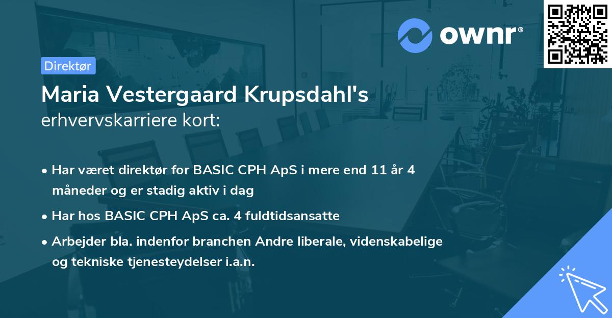 Maria Vestergaard Krupsdahl's erhvervskarriere kort