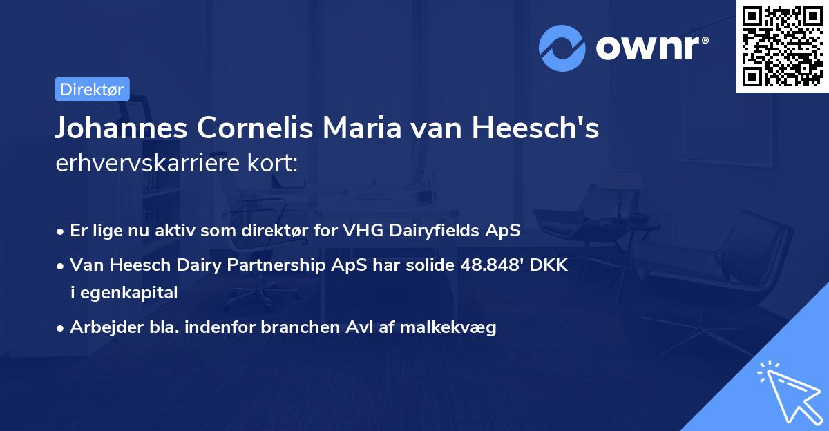 Johannes Cornelis Maria van Heesch's erhvervskarriere kort