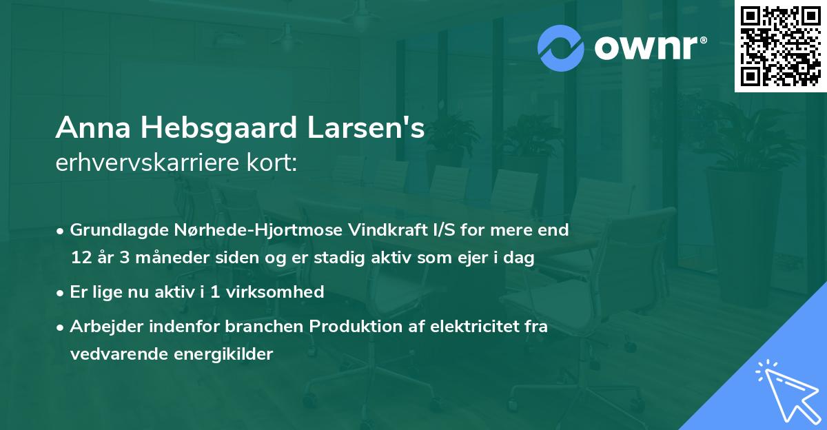 Anna Hebsgaard Larsen's erhvervskarriere kort
