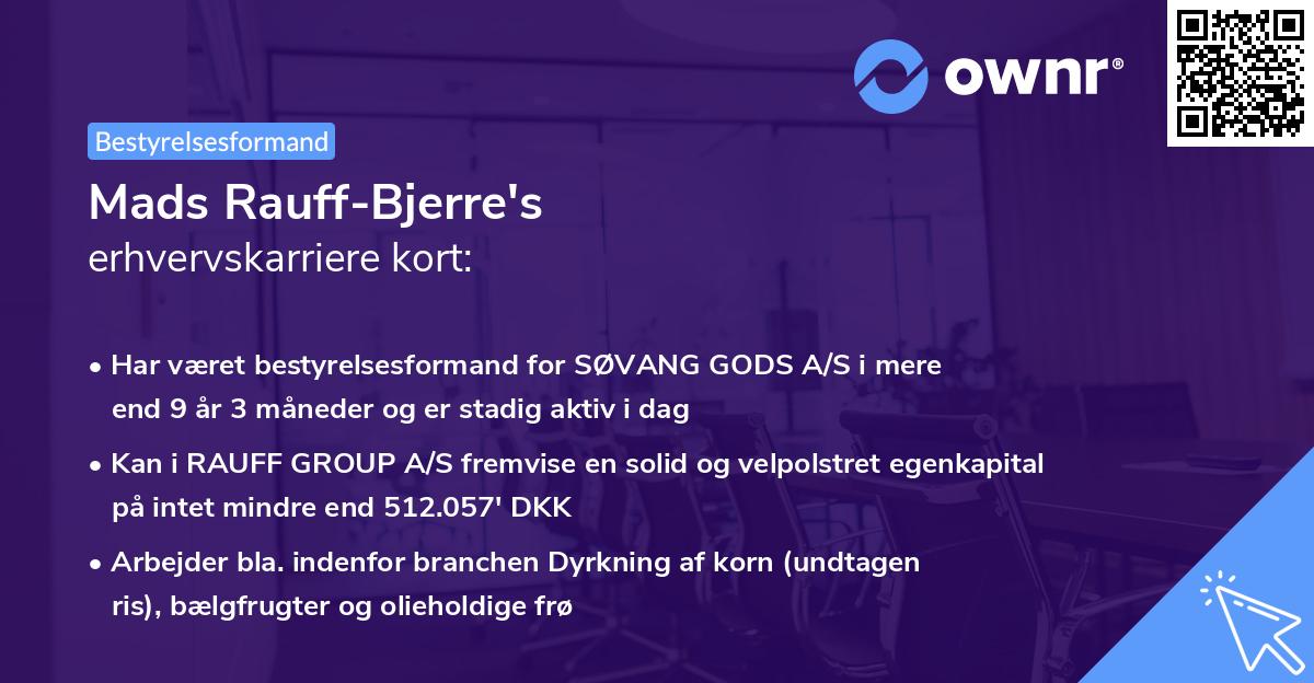 Mads Rauff-Bjerre's erhvervskarriere kort