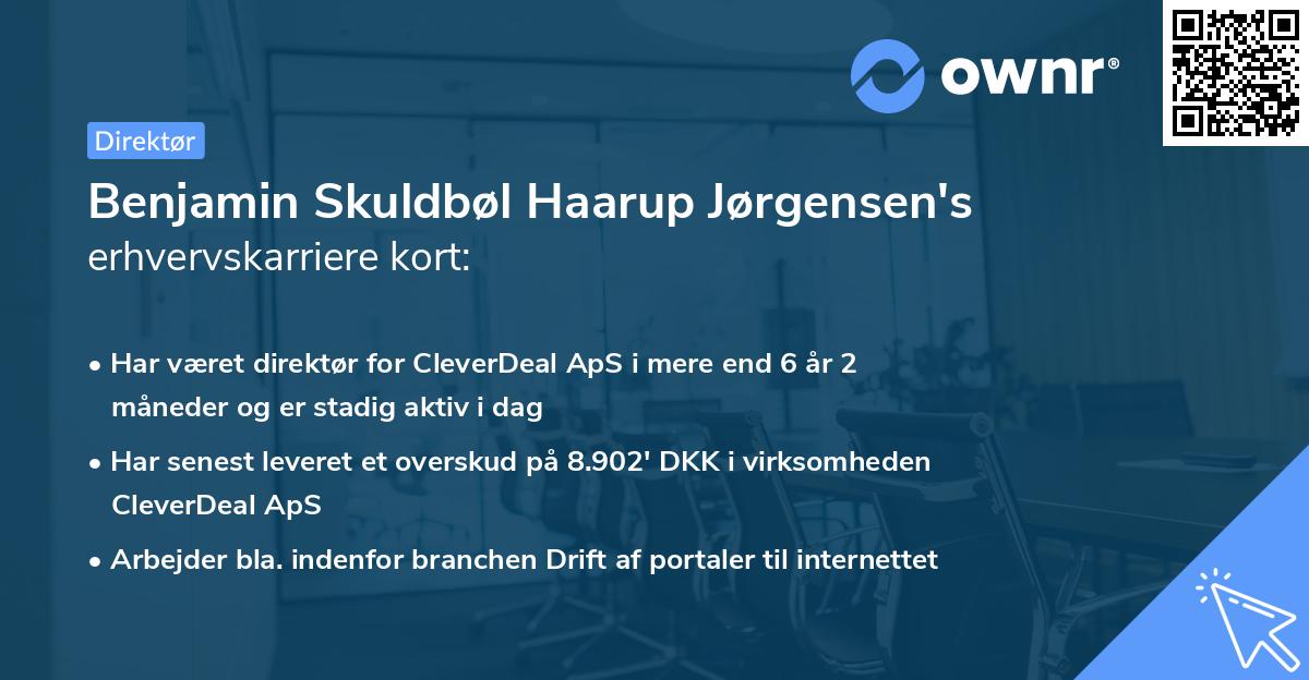 Benjamin Skuldbøl Haarup Jørgensen's erhvervskarriere kort