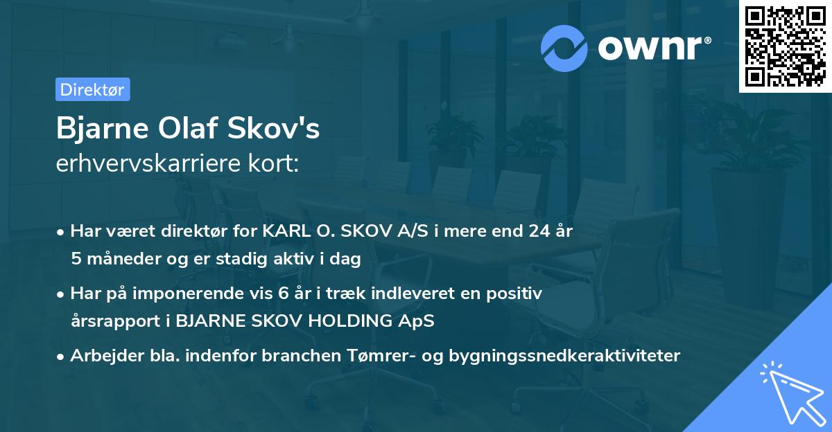 Bjarne Olaf Skov's erhvervskarriere kort