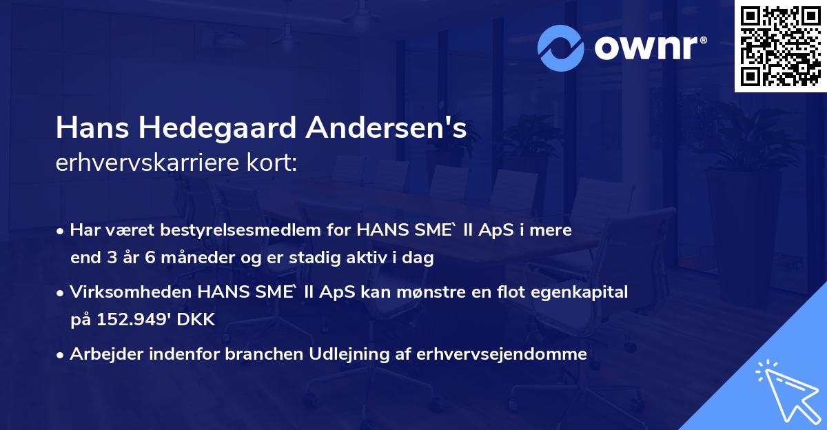 Hans Hedegaard Andersen's erhvervskarriere kort