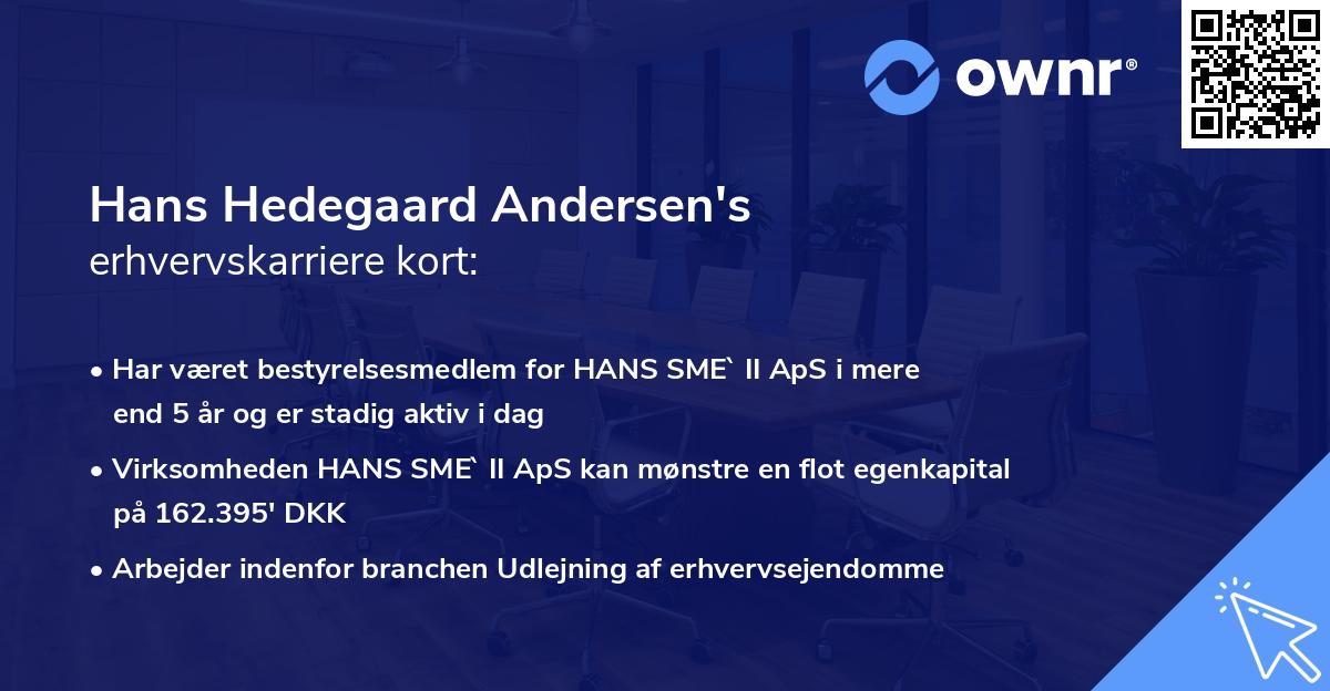 Hans Hedegaard Andersen's erhvervskarriere kort