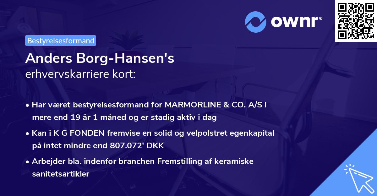 Anders Borg-Hansen's erhvervskarriere kort