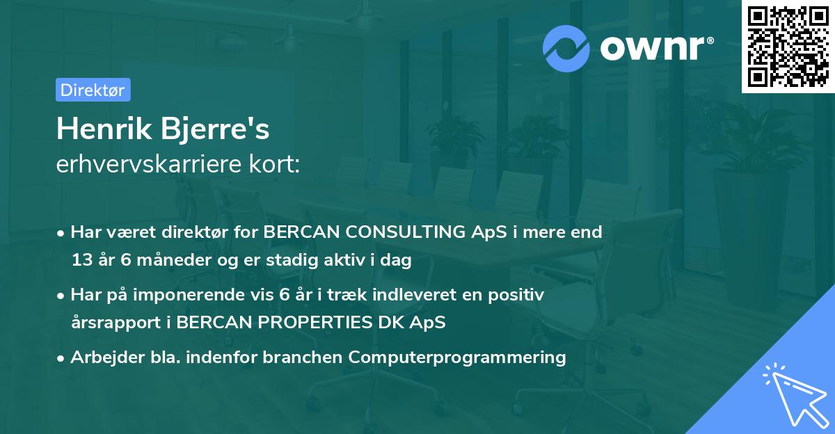 Henrik Bjerre's erhvervskarriere kort