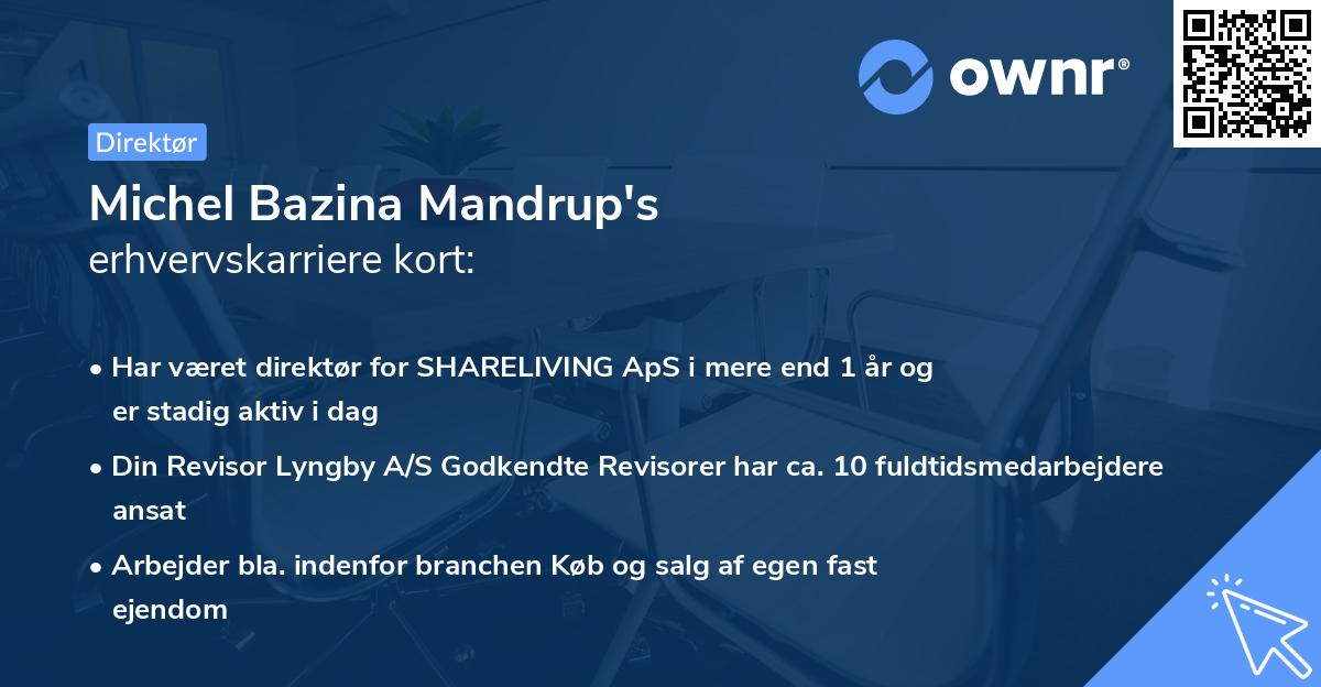 Michel Bazina Mandrup's erhvervskarriere kort
